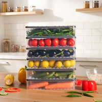 Set of 12